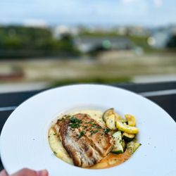 Caribsea - Mahi Mahi