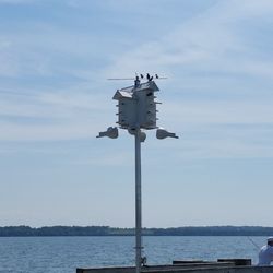 Cool bird house by the jetty.