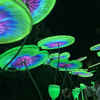 China Lights Wisconsin - Festivals Near Me - Hales Corners, Wisconsin China Lights Wisconsin - Festivals Near Me - Hales Corners, Wisconsin