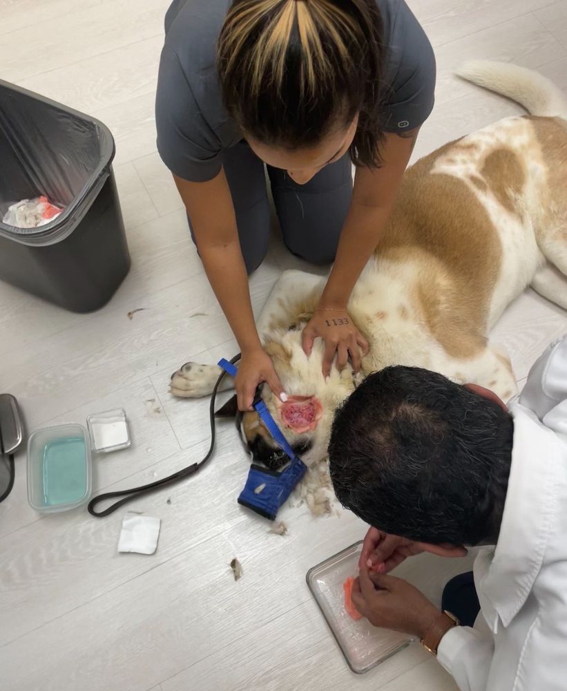 Herd & Home Pet Services - pet boarding facility in Springtown, TX