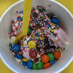 The Yogurt Experience