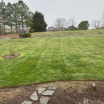 Full Clip Lawn Care - a view of a green lawn - Lawn Services Near Me Full Clip Lawn Care - a view of a green lawn - Lawn Services Near Me