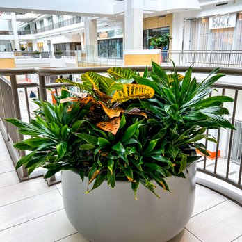 Lawrence Square - Shopping Centers Near Me - North York, Ontario Lawrence Square - Shopping Centers Near Me - North York, Ontario