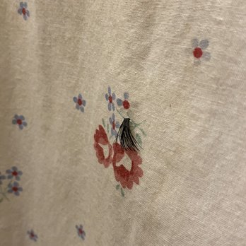 Echo Valley Cottages - Eyelash on the shower curtain - Hotels Near Me - East Stroudsburg, Pennsylvania Echo Valley Cottages - Eyelash on the shower curtain - Hotels Near Me - East Stroudsburg, Pennsylvania