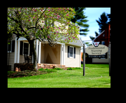 Professional Nursing Services