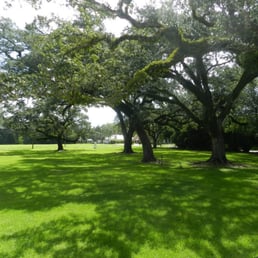 front lawn