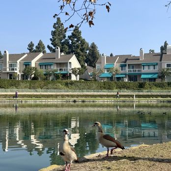 North Lake Park - North Lake Park - Parks Near Me - Irvine, California