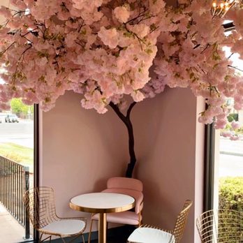Chant’el Cafe - Cafes Near Me - Folsom, California