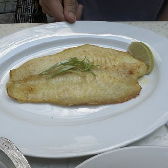 Rumba Cubana - Filete de Pescado a la Plancha - Cuban Near Me - Jersey City, New Jersey