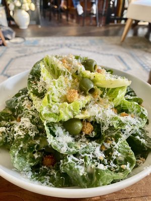 The Crooked Pine by null