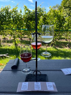 Bowers Harbor Vineyards by null
