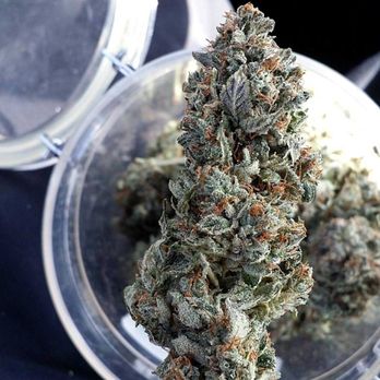 Stiiizy Weed Delivery - Burbank - Cannabis Dispensaries Near Me Stiiizy Weed Delivery - Burbank - Cannabis Dispensaries Near Me