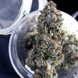 Stiiizy Weed Delivery - Burbank