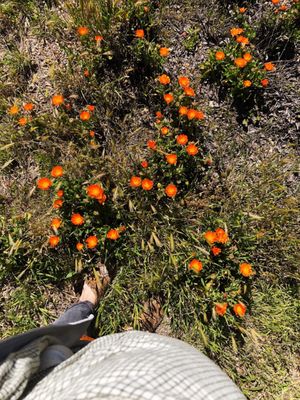 Buttonwood Farm & Vineyard by null