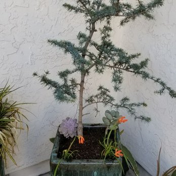 Plantplay Gardens - Nurseries & Gardening Near Me - Oceanside, California Plantplay Gardens - Nurseries & Gardening Near Me - Oceanside, California