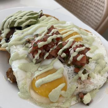 Willa's - New American Near Me - Tampa, Florida