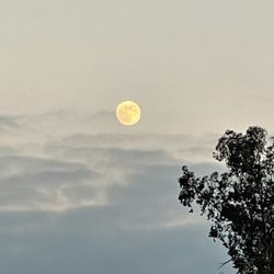 Riverbottom Park - Moon
