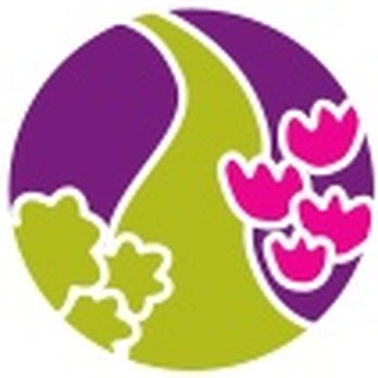 Natural Path Wellness - Chiropractors Near Me - Dartmouth, Nova Scotia Natural Path Wellness - Chiropractors Near Me - Dartmouth, Nova Scotia