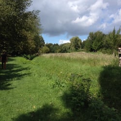 Dilbeek En Pro