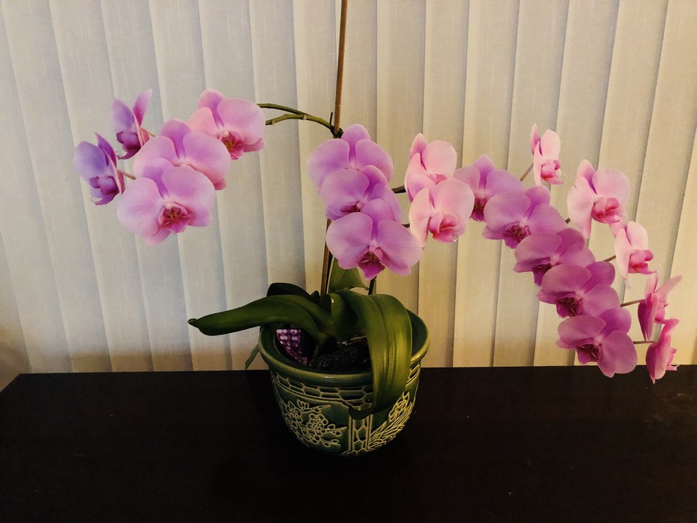 GLAMOUR NAILS Nail Salons 462 Bypass 72 NW, Greenwood, SC Phone