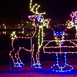 Fantasy Lights Festival