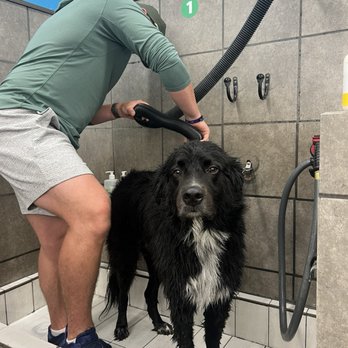 Pet Supplies Plus Clearwater - Pet Groomers Near Me - Clearwater, Florida Pet Supplies Plus Clearwater - Pet Groomers Near Me - Clearwater, Florida