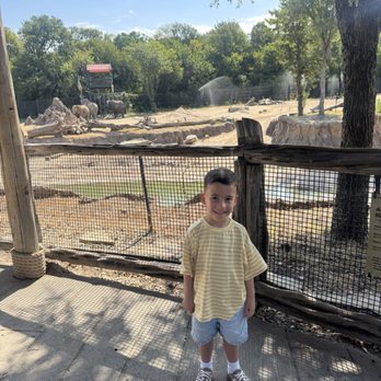 Dallas Zoo - Zoos Near Me - Dallas, Texas