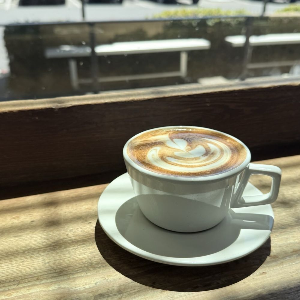 Avid Coffee - Mocha - Cafes Near Me - Santa Rosa, California