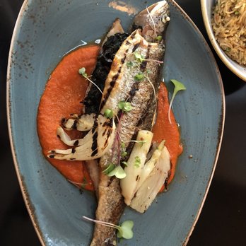 Fairouz - YES. Was technically a sharing dish but devoured it alone. - Middle Eastern Near Me - Ottawa, Ontario Fairouz - YES. Was technically a sharing dish but devoured it alone. - Middle Eastern Near Me - Ottawa, Ontario