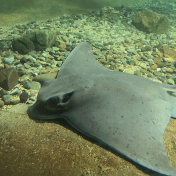 Ocean World - Aquariums Near Me - Crescent City, California