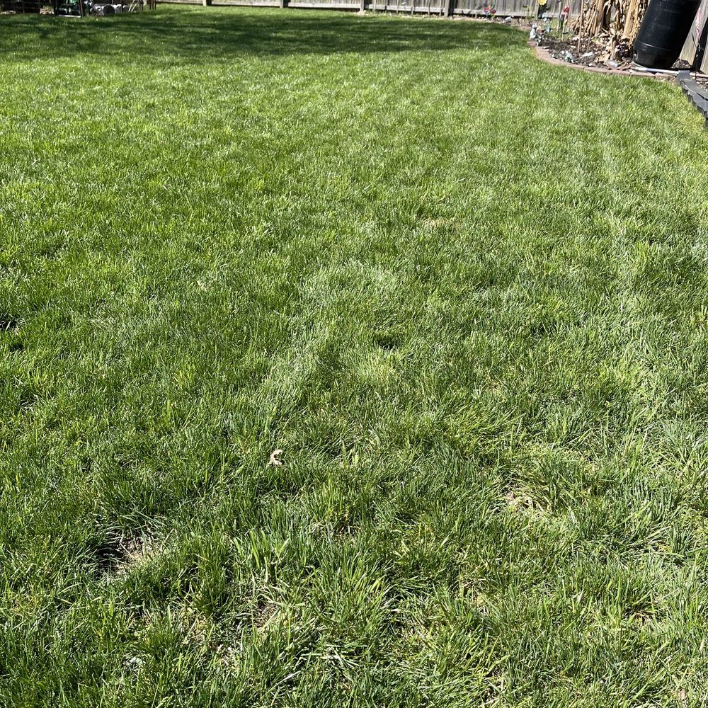 GrowinGreen - New lawn. Thanks GrowinGreen! - Landscaping Near Me - Kernersville, North Carolina GrowinGreen - New lawn. Thanks GrowinGreen! - Landscaping Near Me - Kernersville, North Carolina