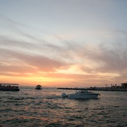 Tropical Tiki Cruises