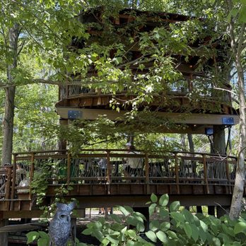 The Blueberry Treehouse Farm - Treehouse - Pick Your Own Farms Near Me - West Falls, New York The Blueberry Treehouse Farm - Treehouse - Pick Your Own Farms Near Me - West Falls, New York
