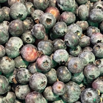 Lutz Blueberry Farm - Close up before washing - Pick Your Own Farms Near Me - Lutz, Florida Lutz Blueberry Farm - Close up before washing - Pick Your Own Farms Near Me - Lutz, Florida
