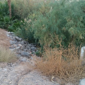 Whitney Mesa Recreation Area - It was cool in the list area. Nice and serene bit a little stanky. - Parks Near Me - Henderson, Nevada Whitney Mesa Recreation Area - It was cool in the list area. Nice and serene bit a little stanky. - Parks Near Me - Henderson, Nevada