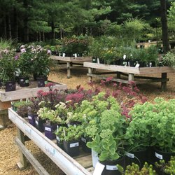 Hidden Timber Gardens - Perennials Tables