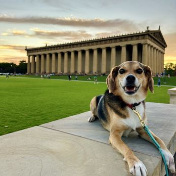 Centennial Park - We love it here - Parks Near Me - Nashville, Tennessee Centennial Park - We love it here - Parks Near Me - Nashville, Tennessee