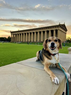 Centennial Park by null