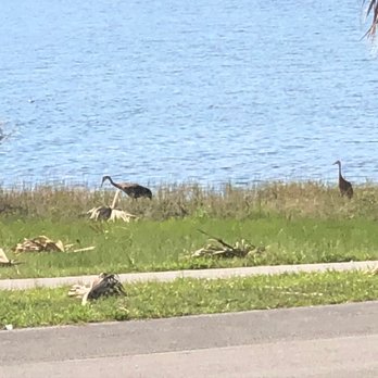 Okeeheelee Park - Wildlife - Parks Near Me - West Palm Beach, Florida Okeeheelee Park - Wildlife - Parks Near Me - West Palm Beach, Florida