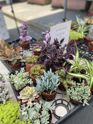 Alemany Farmer's Market by null