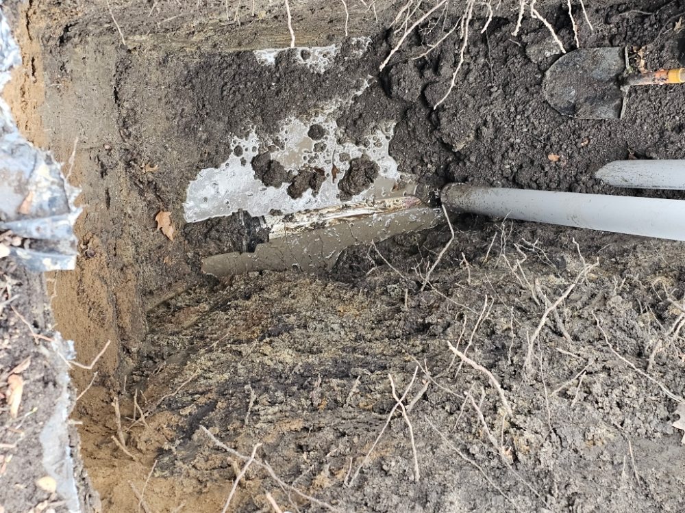 Slide of Koda's Plumbing