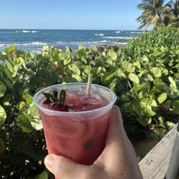 House sangria House sangria