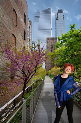 The High Line by null
