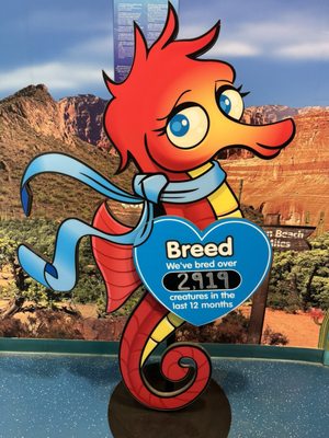 SEA LIFE Arizona Aquarium by null