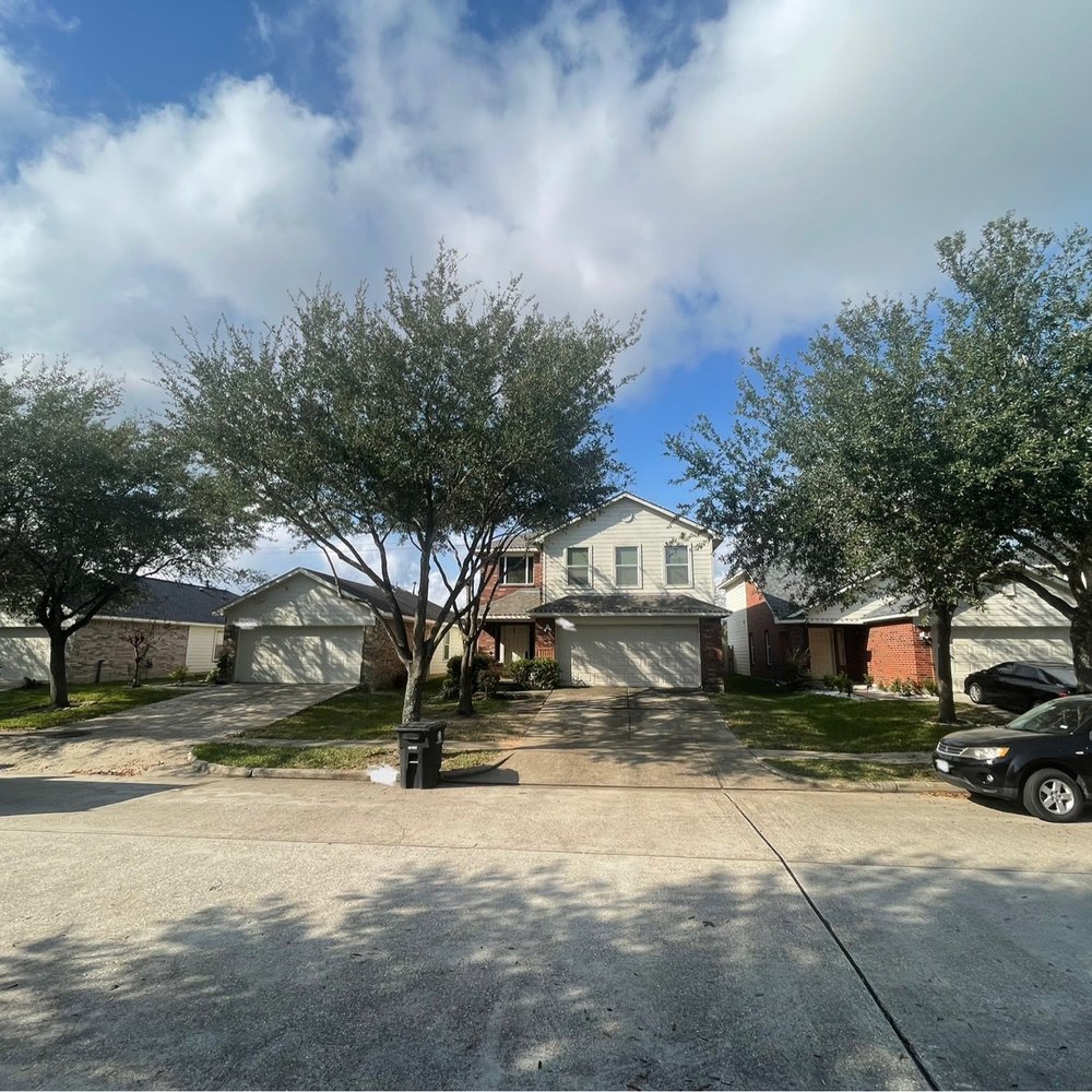 Alfaro's Tree & Dumpster Services - After 02 - Tree Services Near Me