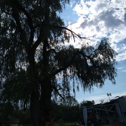 Whispering Winds Campground