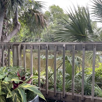 Harps American Pub & Grill - Back Deck - Burgers Near Me - Jacksonville, Florida