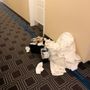 Town Place Suites by Marriott