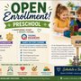 Tiny Woodland Childcare