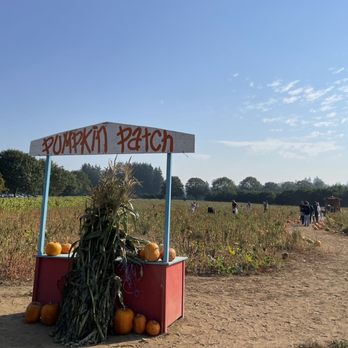 Aldor Acres - Farms Near Me - Langley, British Columbia